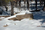 photo thumbnail #9
