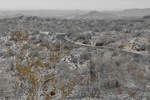 photo thumbnail #5