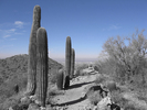 photo thumbnail #6
