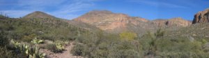 photo thumbnail #2