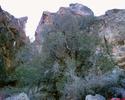 photo thumbnail #11