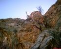 photo thumbnail #13