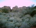 photo thumbnail #15