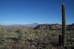 photo thumbnail #2