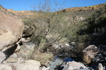 photo thumbnail #5