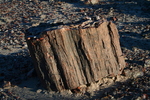 photo thumbnail #12
