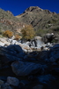 photo thumbnail #14