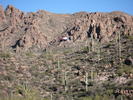 photo thumbnail #1