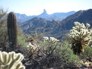 photo thumbnail #14
