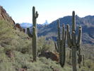 photo thumbnail #15