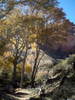 photo thumbnail #3