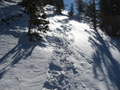 photo thumbnail #6