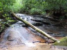 photo thumbnail #10