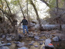 photo thumbnail #5