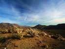 photo thumbnail #9