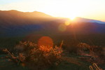photo thumbnail #15