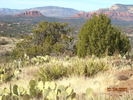 photo thumbnail #4