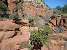 photo thumbnail #8