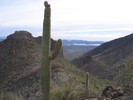 photo thumbnail #2