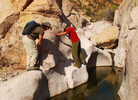 photo thumbnail #6
