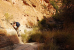 photo thumbnail #15