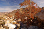 photo thumbnail #4