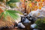 photo thumbnail #13