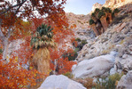 photo thumbnail #15