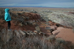 photo thumbnail #2