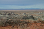 photo thumbnail #8