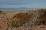 photo thumbnail #12