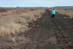photo thumbnail #13