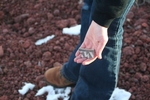 photo thumbnail #14