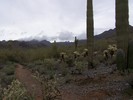 photo thumbnail #7