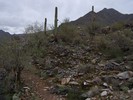 photo thumbnail #8