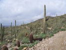 photo thumbnail #15