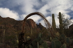 photo thumbnail #4