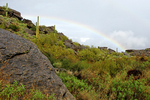 photo thumbnail #13