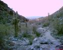photo thumbnail #4