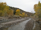 recent photo