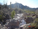 photo thumbnail #1