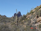photo thumbnail #8