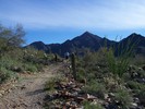 photo thumbnail #2