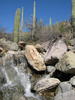 photo thumbnail #7