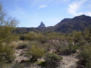 photo thumbnail #1