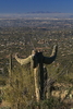 photo thumbnail #1
