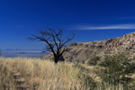 photo thumbnail #14