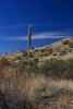 photo thumbnail #15