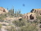 photo thumbnail #1