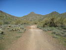 photo thumbnail #1
